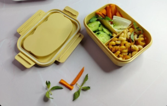 Caja de almuerzo plástica | 18,5 × 13,2 × 7,3 cm