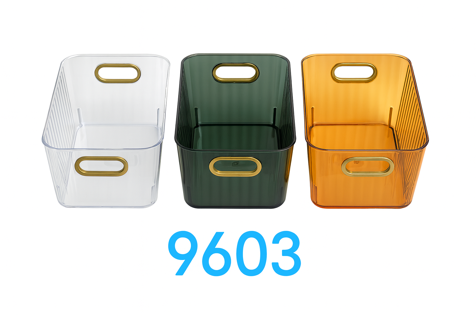 Caja de Almacenaje– Plástico (Variedad) | 25 × 17 × 9,5 cm