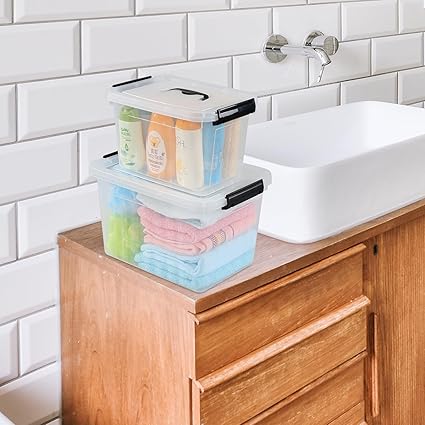 Caja de plástico para almacenaje (variedad)