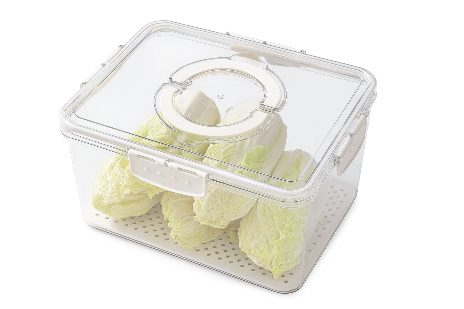 Caja para Huevos – Plástico Organizador | 31 × 24 × 14,5 cm