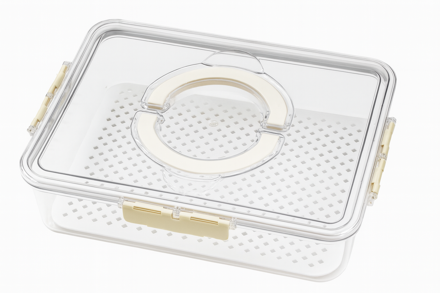 Recipiente Hermético– Plástico para Conservar Alimentos | 31×24×7cm