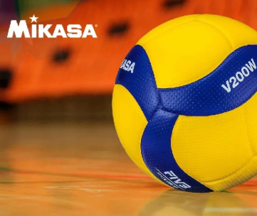 Pelota de Voleibol